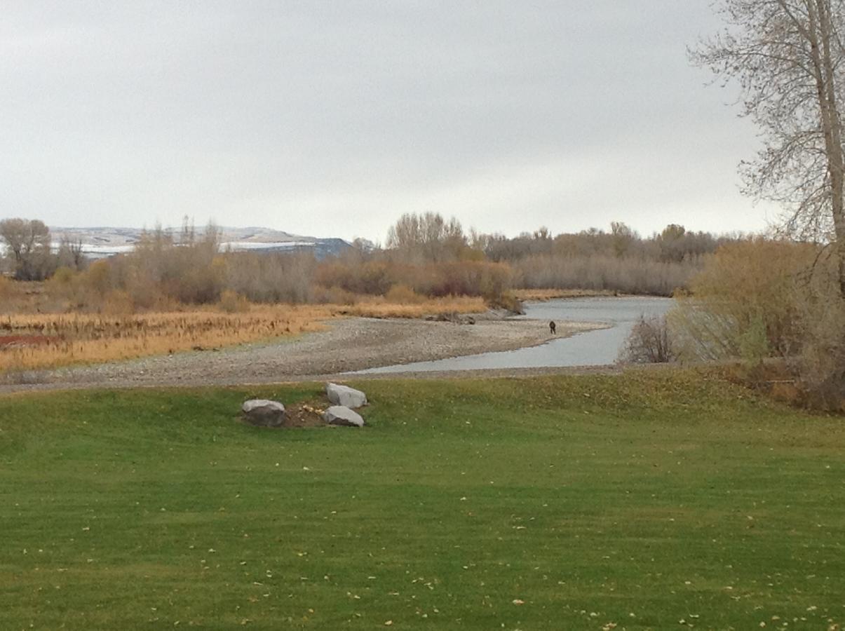 Blue Heron Inn Bed And Breakfast Rexburg Chambre photo