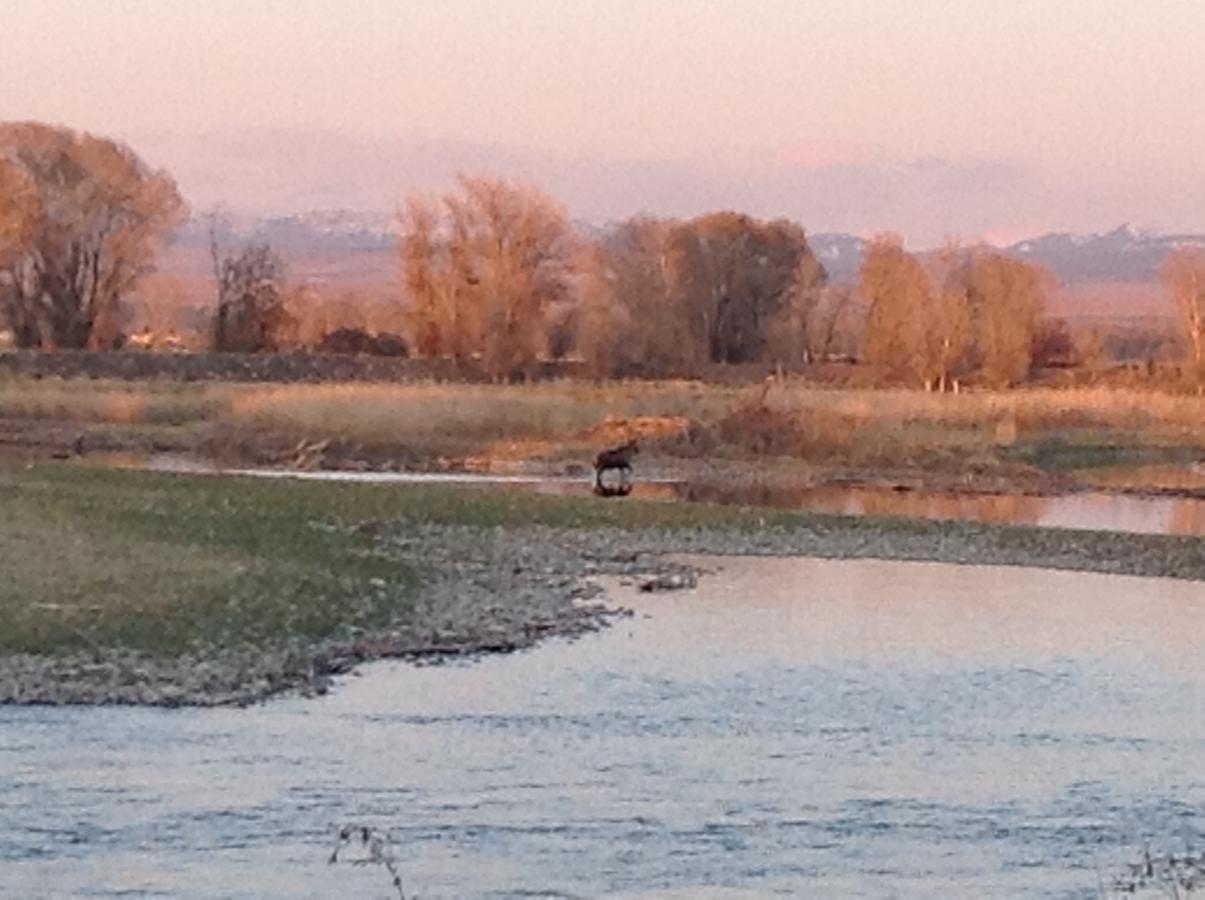 Blue Heron Inn Bed And Breakfast Rexburg Extérieur photo